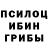 Галлюциногенные грибы Psilocybine cubensis Xalima Mamajonova