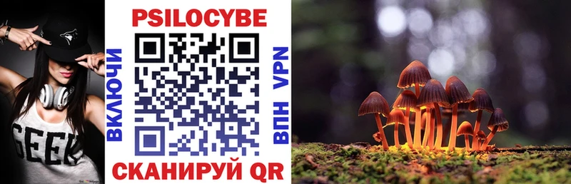 Псилоцибиновые грибы Cubensis Сысерть